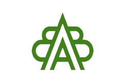 Asian Art Biennale